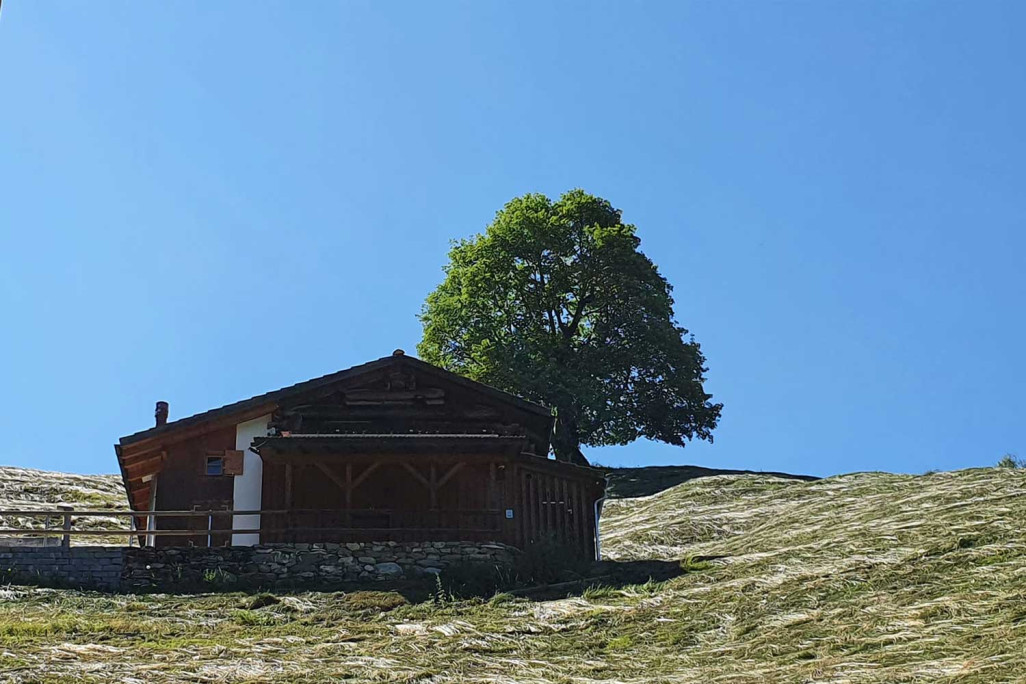Maiensäss in Graubünden, Gebäudeaufnahme, HMQ AG